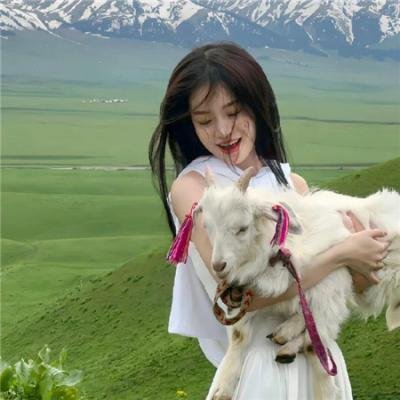 捕风追影