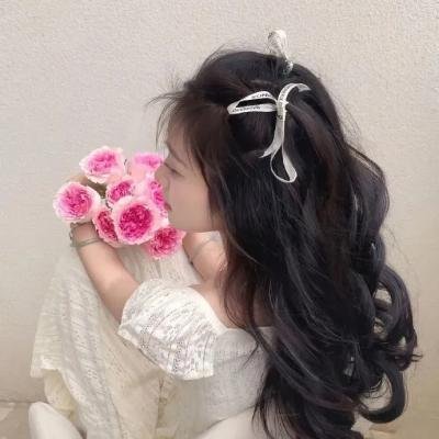 三个火枪手:达达尼昂